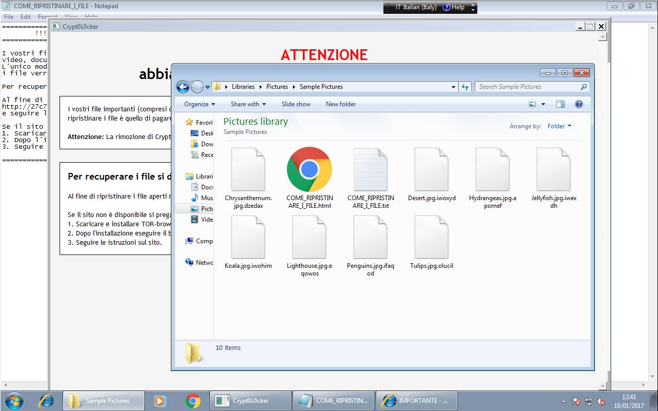 file_criptati_cryptolocker