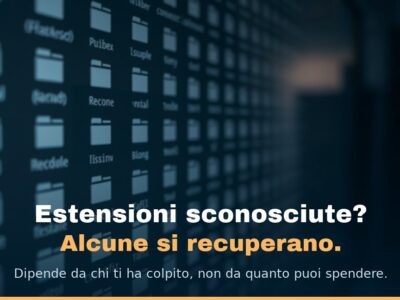 Uno schermo pieno di file con icone anonime ed estensioni non riconoscibili