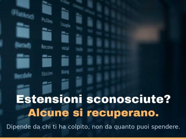 Uno schermo pieno di file con icone anonime ed estensioni non riconoscibili